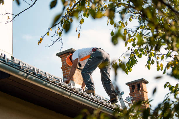 Best New Roof Installation  in Hettinger, ND