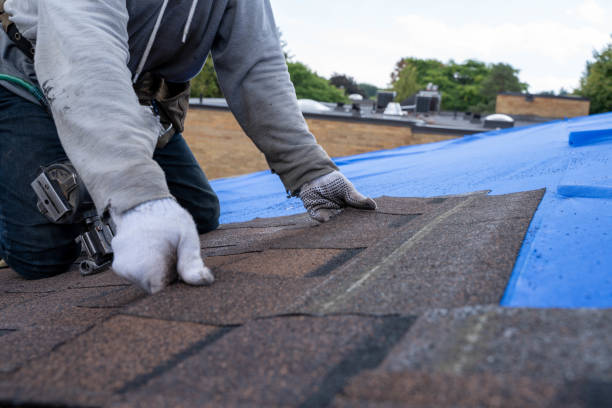 Best Commercial Roofing Services  in Hettinger, ND