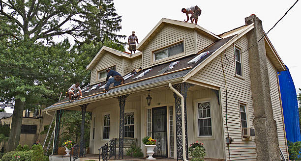 Best Shingle Roofing Installation  in Hettinger, ND